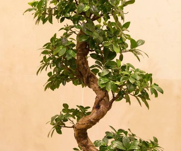 Ceuta Residences - 6 By We Do Living